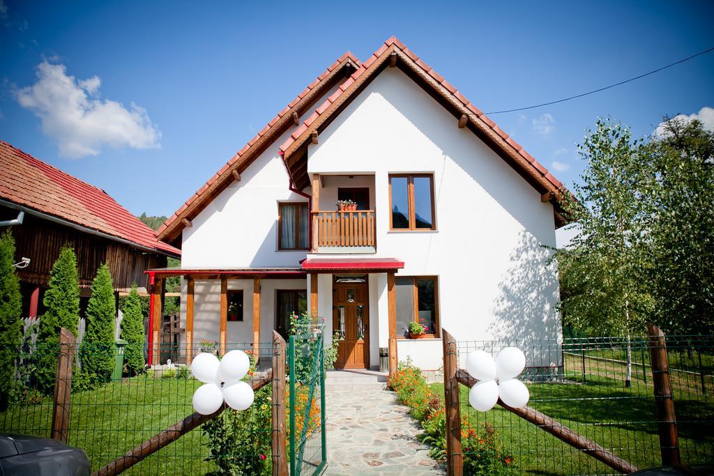 Conacul De Sub Munte Villa Novaci-Straini Exterior photo