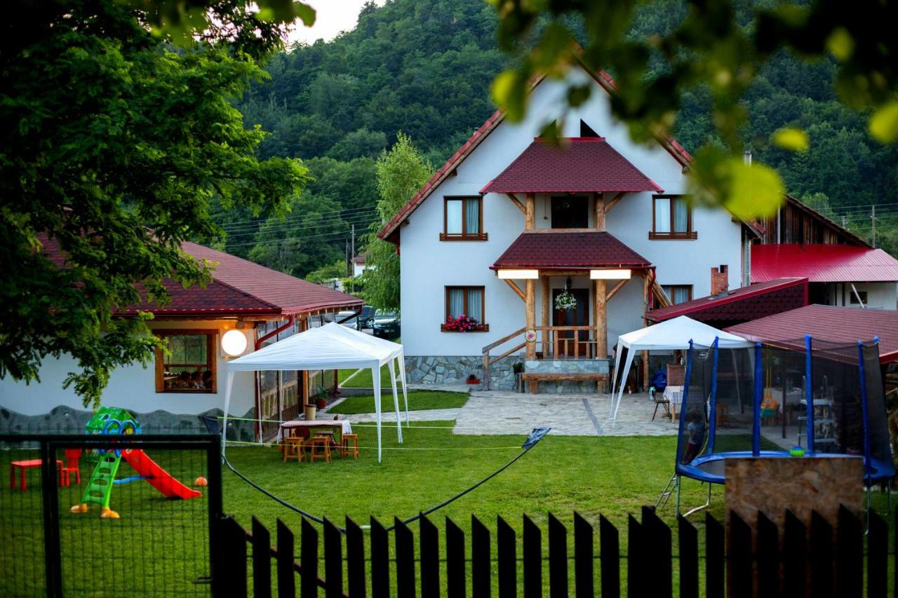 Conacul De Sub Munte Villa Novaci-Straini Exterior photo
